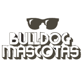 bull dog para adoptar