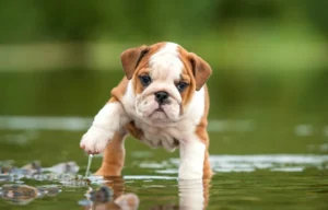 fotolia_58776564-768x491