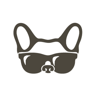 bull dog para adoptar
